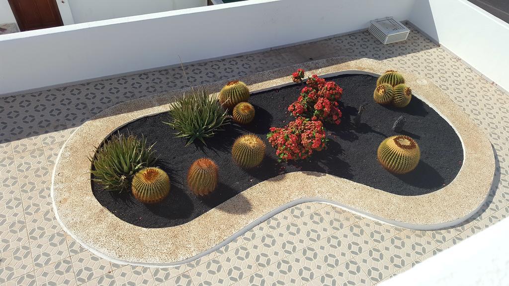 Panelo Cactus Apartment 卡门港 外观 照片